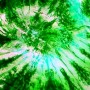 unschooling-tye-die-project