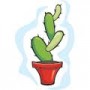 unschoolingcactus2