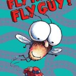 fly guy